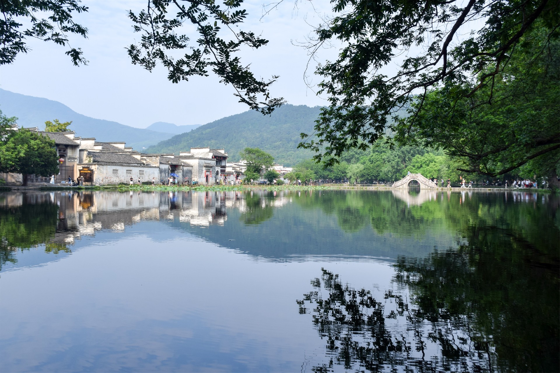 1686541995151937.jpg 1686541995151937.jpg