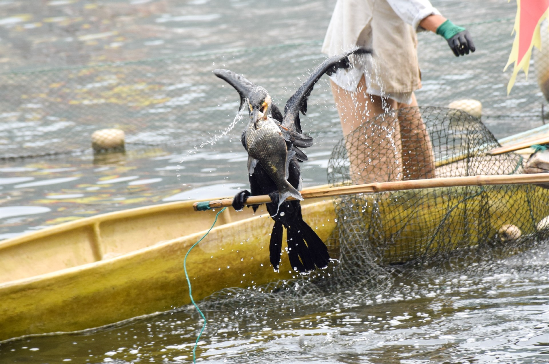 1686542604100115.jpg 1686542604100115.jpg