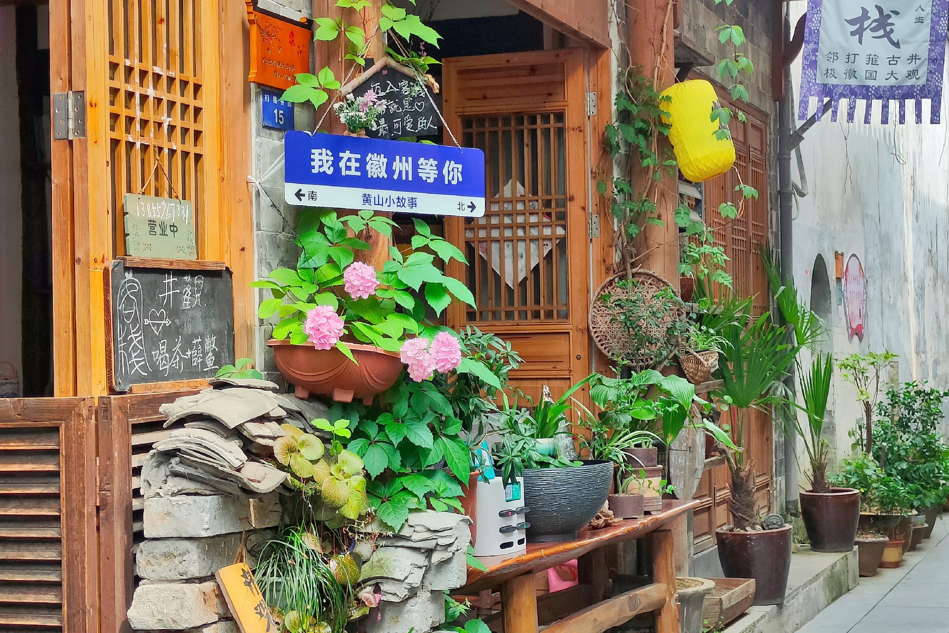 1686550236963307.jpg 1686550236963307.jpg