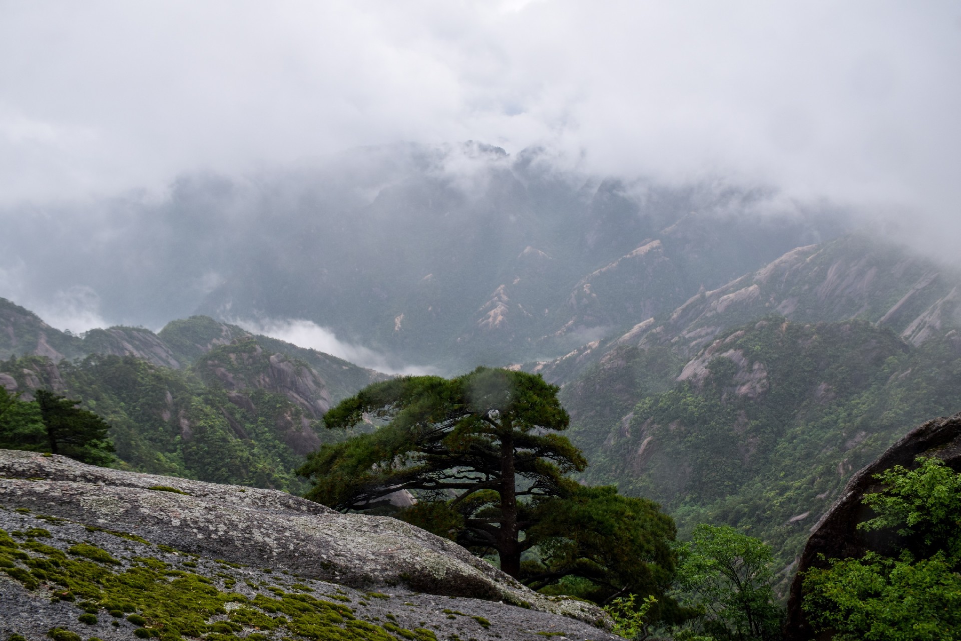 1686551678129025.jpg 1686551678129025.jpg