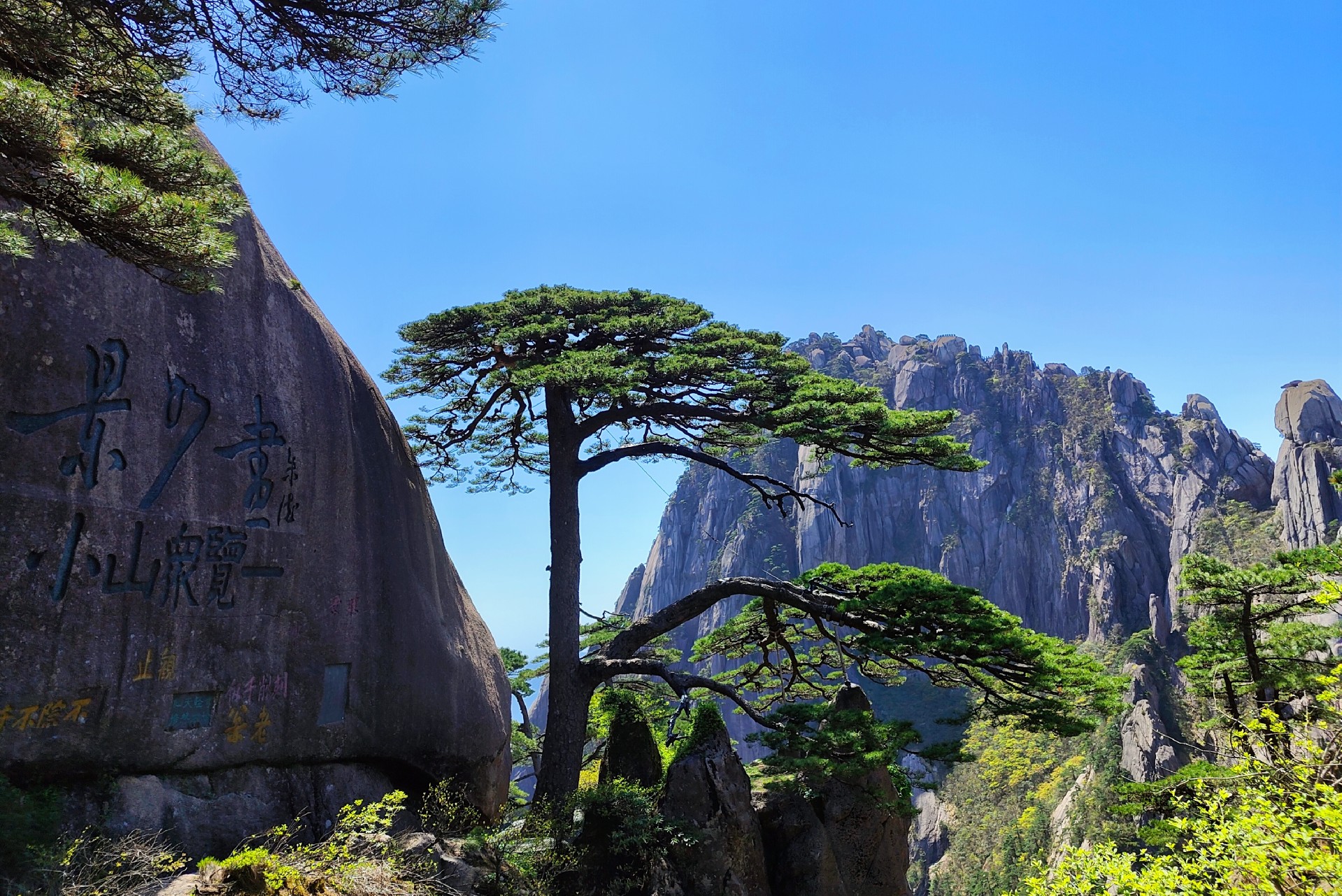 1686551735202564.jpg 1686551735202564.jpg