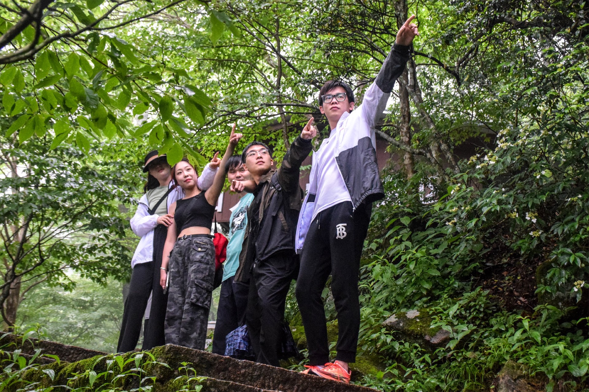 1686551826189270.jpg 1686551826189270.jpg