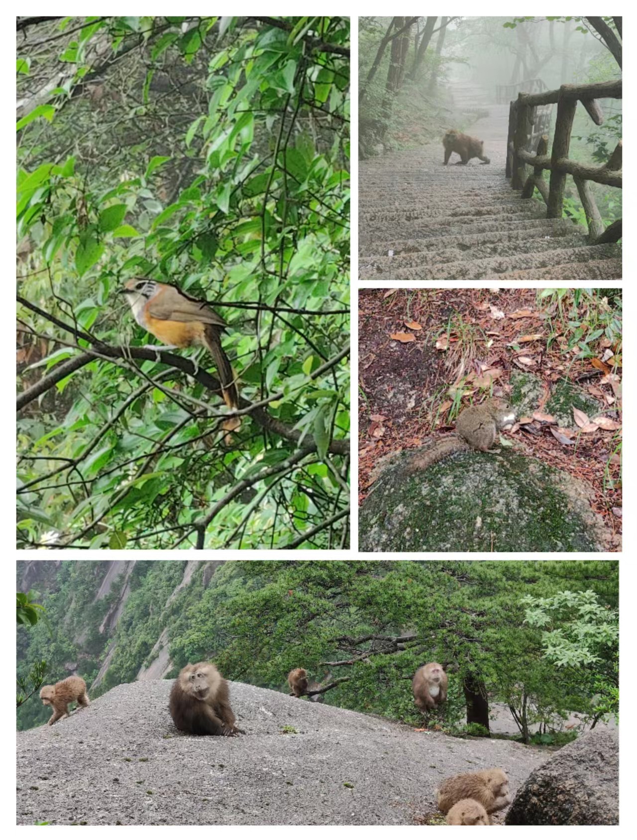 1686551876836609.jpg 1686551876836609.jpg