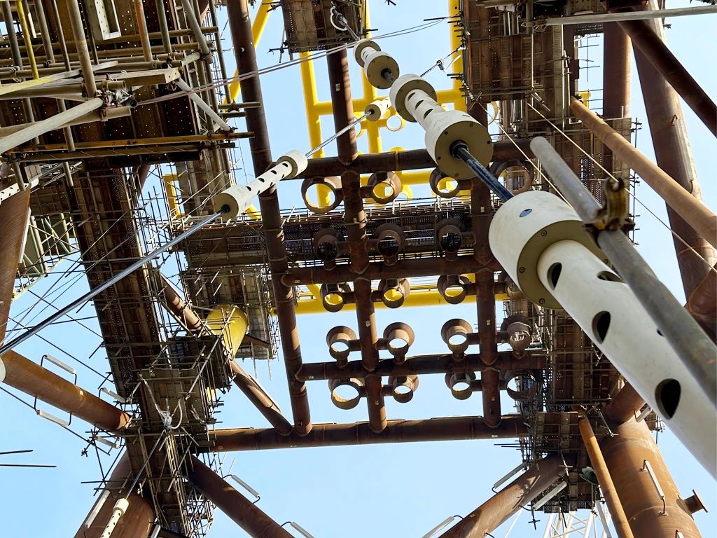 1730082328342559.jpg 1730082328342559.jpg