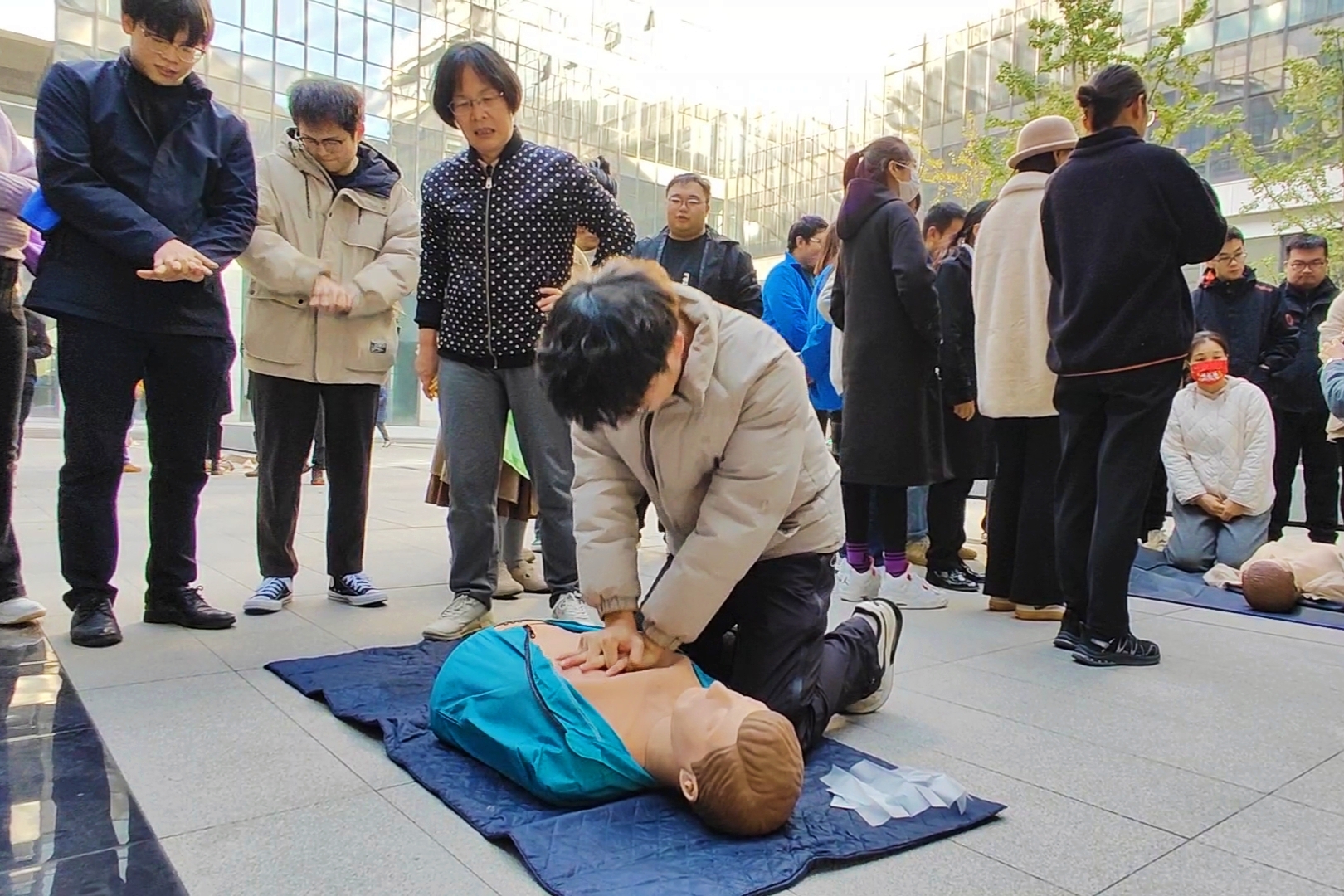 1733215607610723.jpg 1733215607610723.jpg